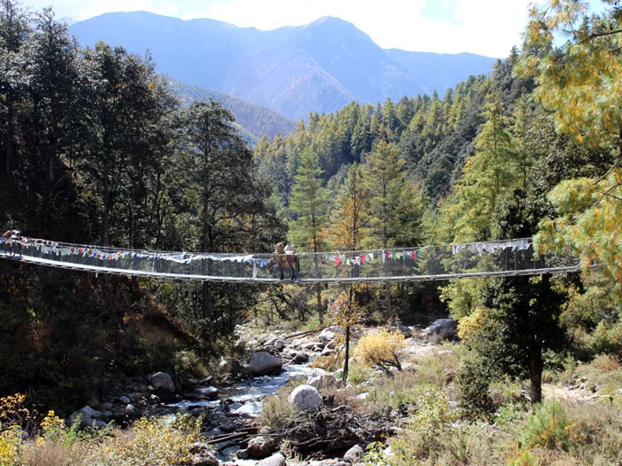 Suspension Bridge