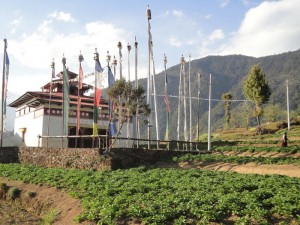 Monastery in Helambu Trek 
