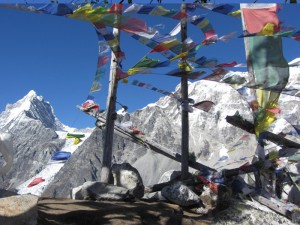 Kanjing Ri view point of Langtang Trek

