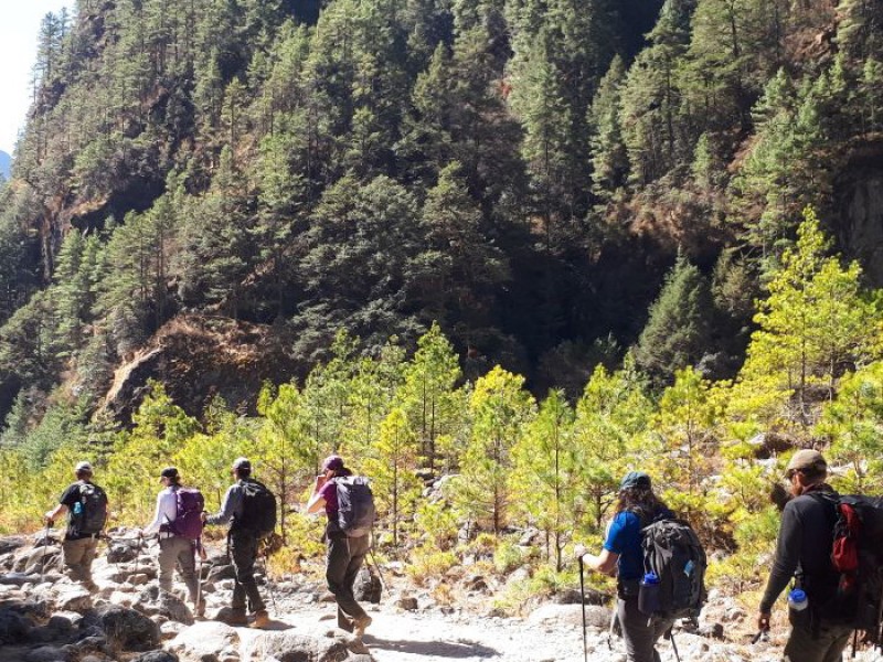 Everest Trekking 