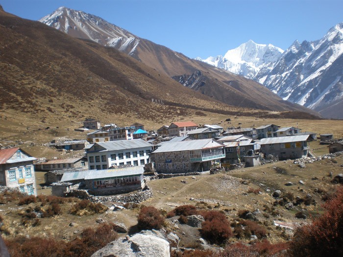 Kanjing village lf Langtang Trek 