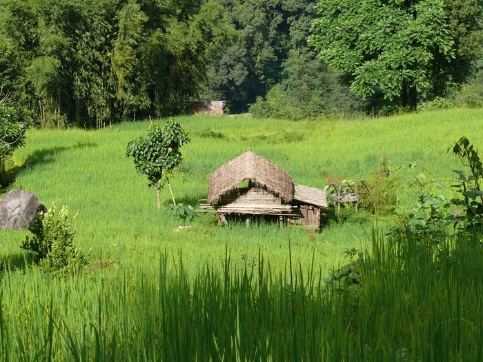 Animal Hut in Makalu 