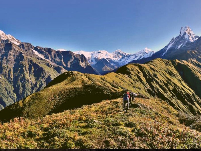 Short Mardi Himal Trek 