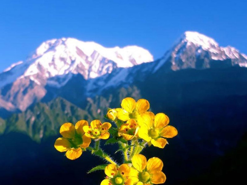 Mardi Himal Trek in September
